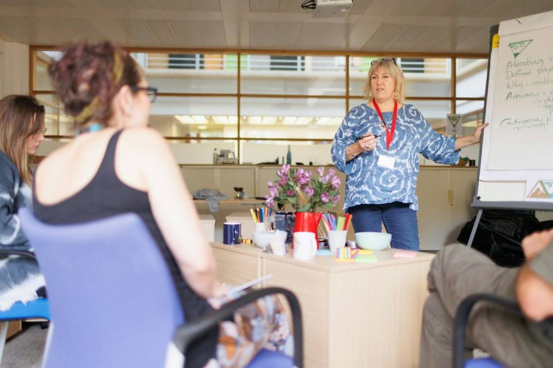 Trainer leading a workshop